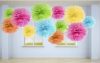 Pompom több színben 25 cm Pompom több színben 25 cm